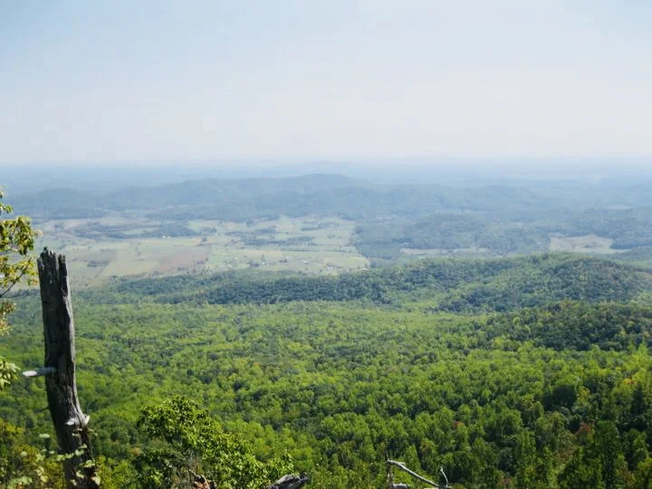 The view from the top just as the leaves are starting to change colors.
