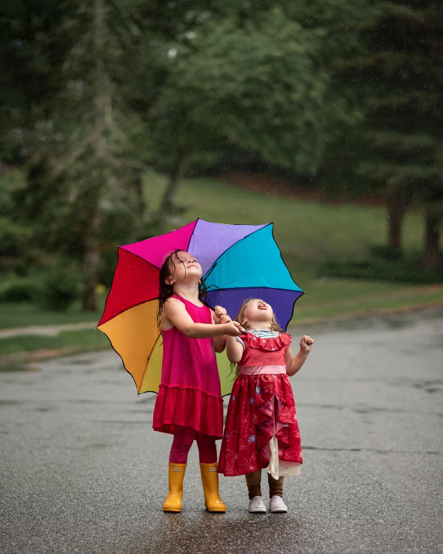 I took this a couple of weeks ago but it&rsquo;s fitting to post today while we get pelted by Elsa. I&rsquo;ve never been more thankful for a sump pump. These girls are loving getting soaked but fingers crossed all basements stay dry today ☔️

Here's