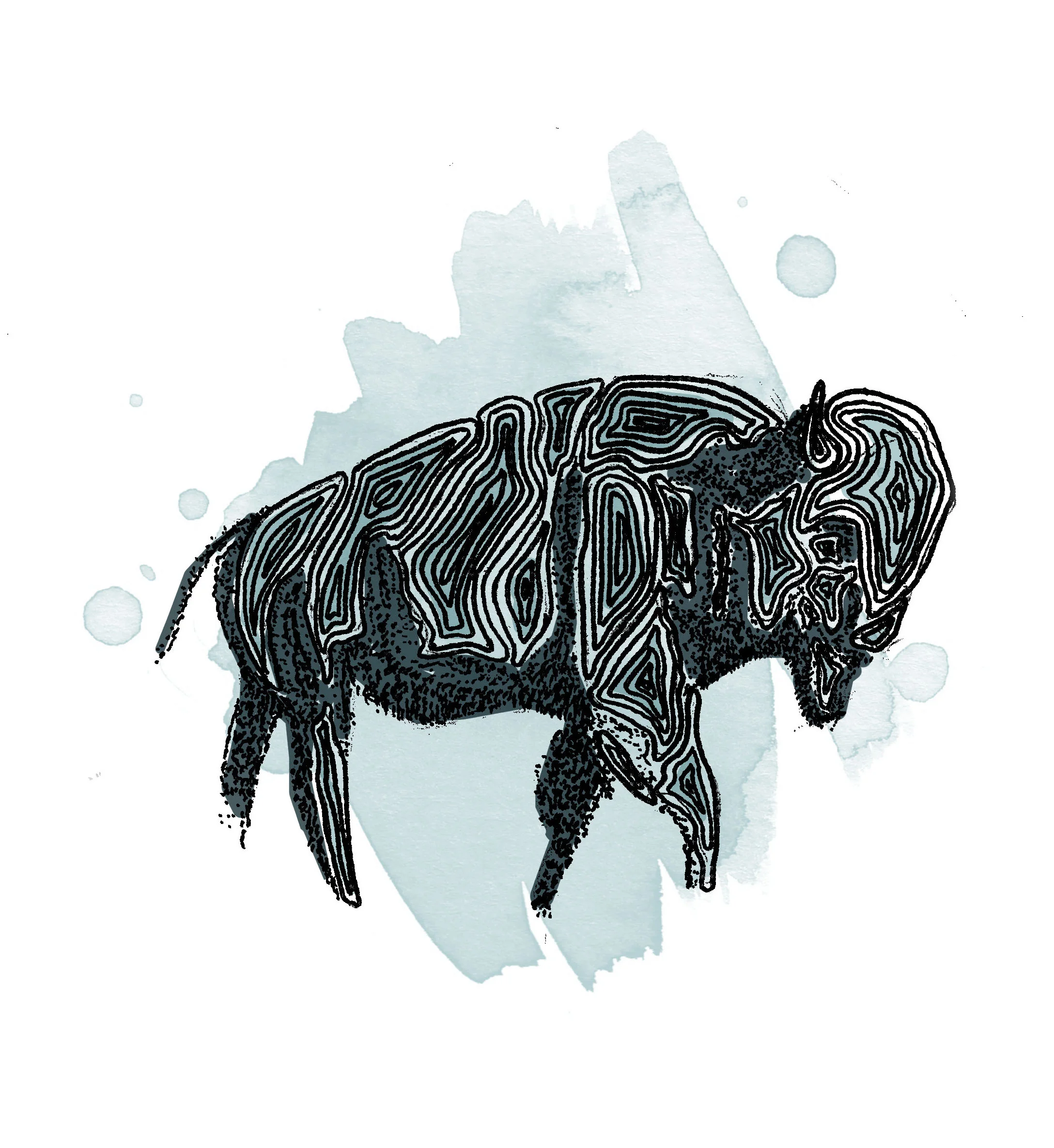 Big Booty Bison