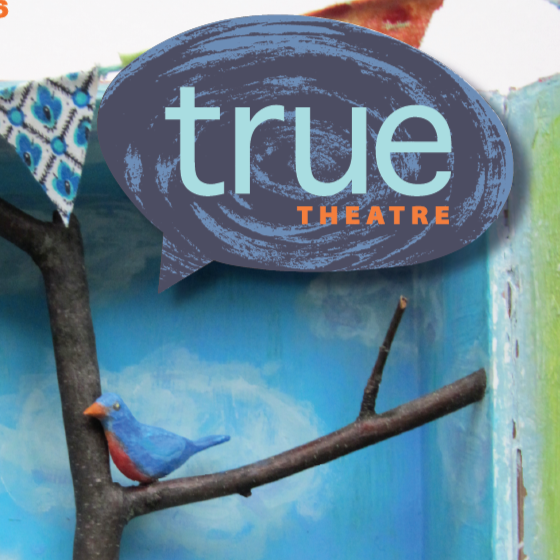 trueBIRD Pitch Night