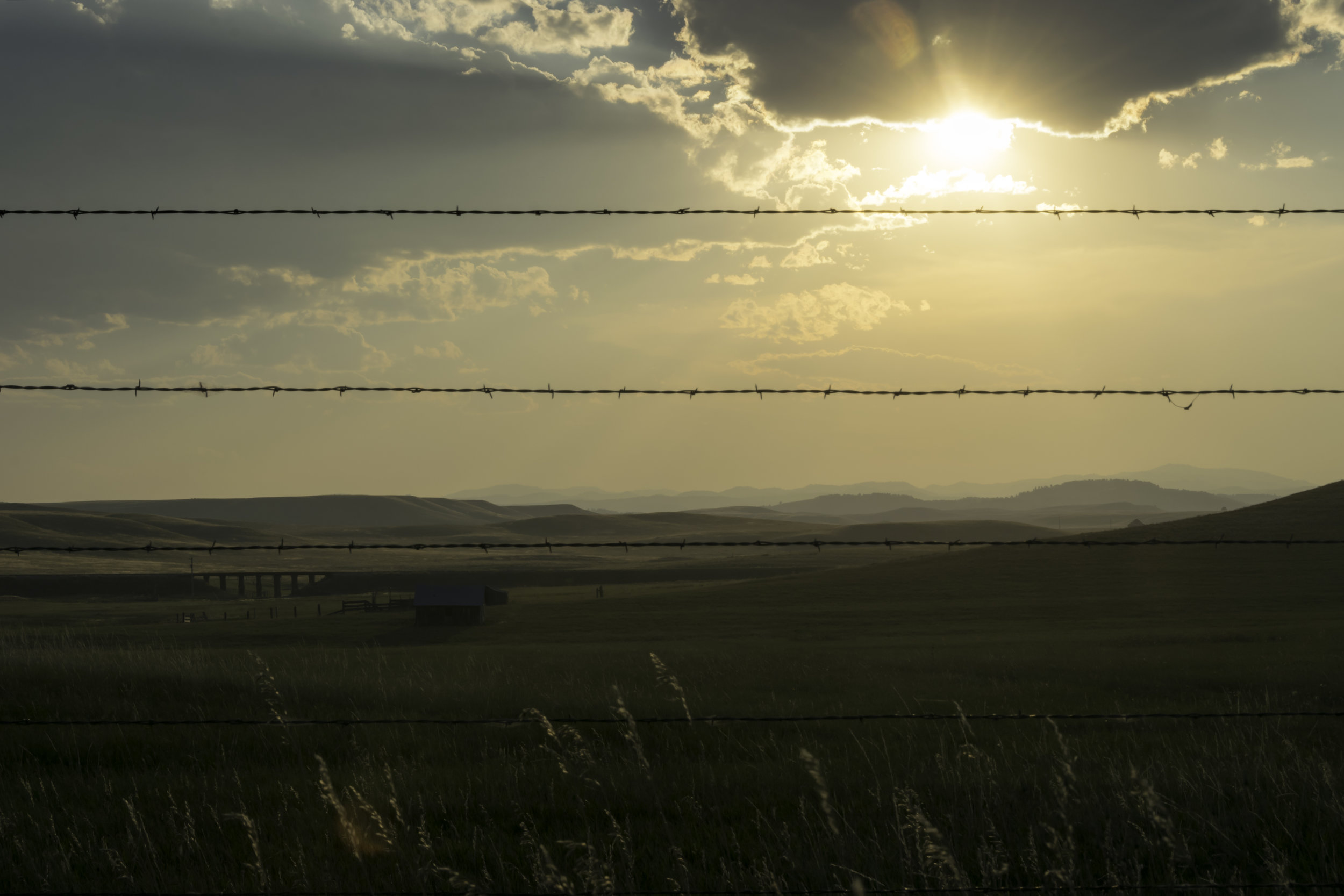 Barbed Wire Sunset.jpg