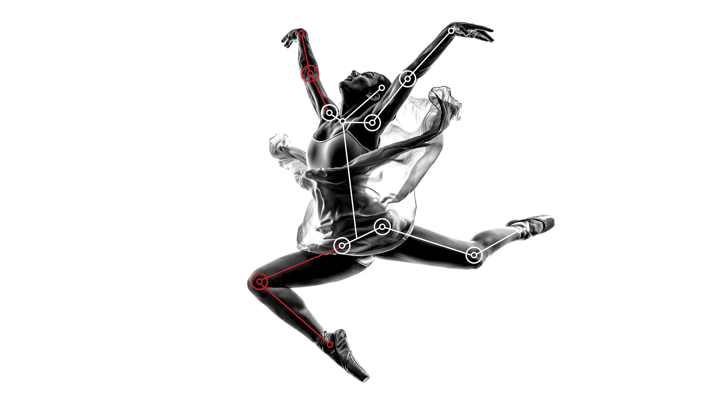 BIOMETREK — 3D Motion Analysis