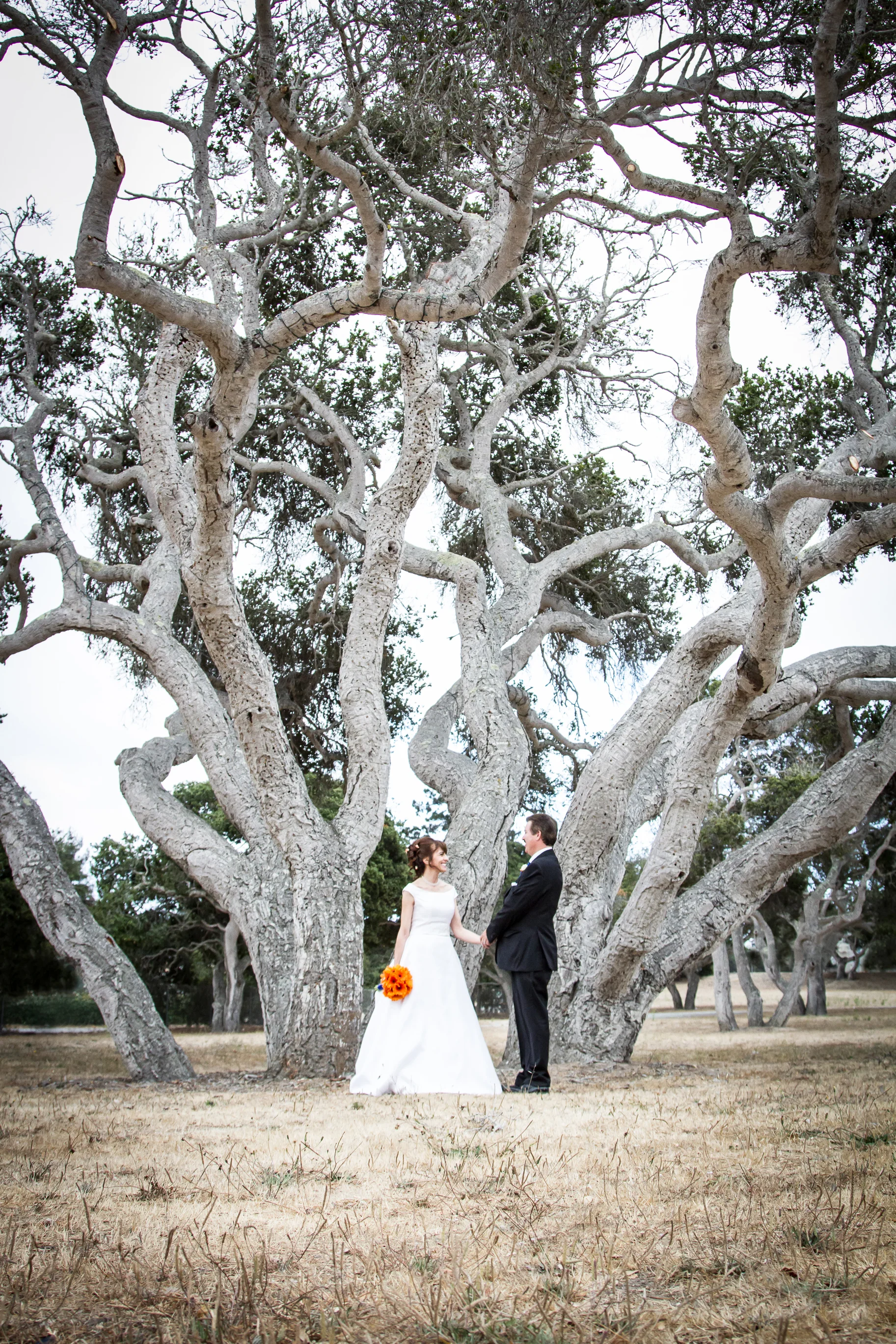 Carmel Wedding