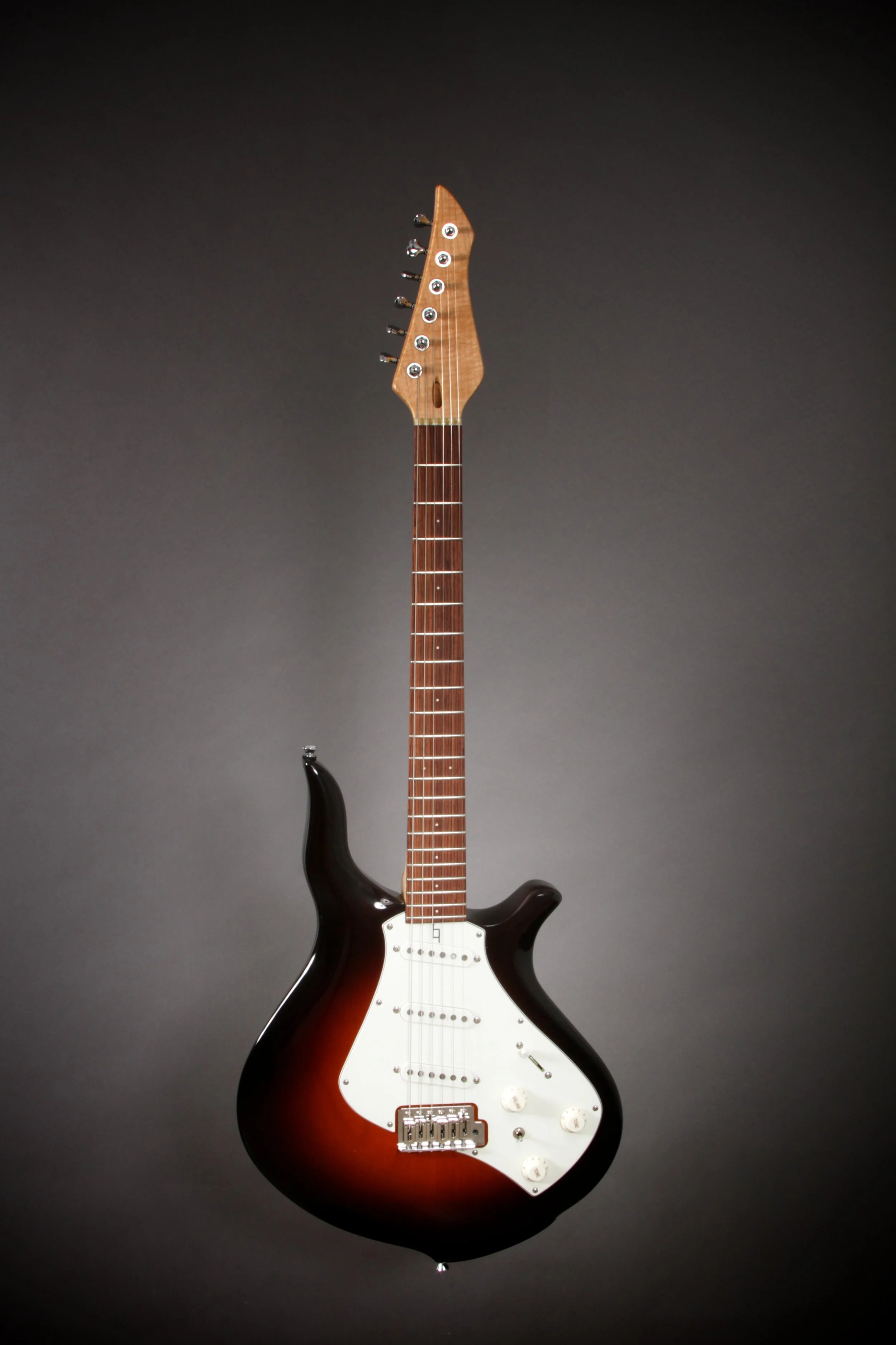 Guitar2 0004.jpg