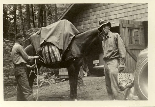 StegnerpackinghishorseVermont1938.jpg