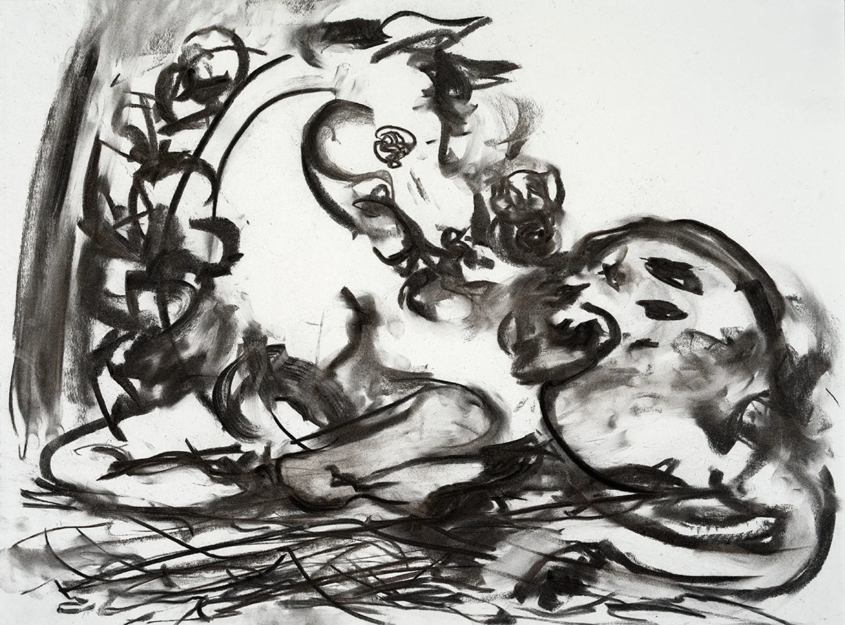 Grulla 2018 charcoal on paper 24 x 18 in.