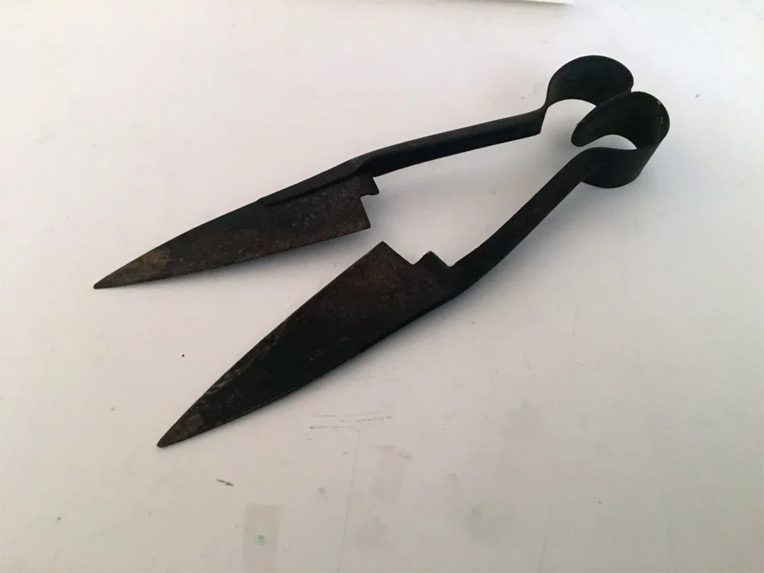 Sheep Shears , 2016, 13 x 4.5 x 1.5 inches Dear you, I’m at a petting zoo – you know, one of those ones you can visit on a farm. ◊ attacked me and left me with ◊, but I got inside the pen and shaved them. ♦ are four sheep in late July that are overheated and need to be sheared - even in the shade they’re too hot. They’re panting hard and their whole bodies rock back and forth rapidly.