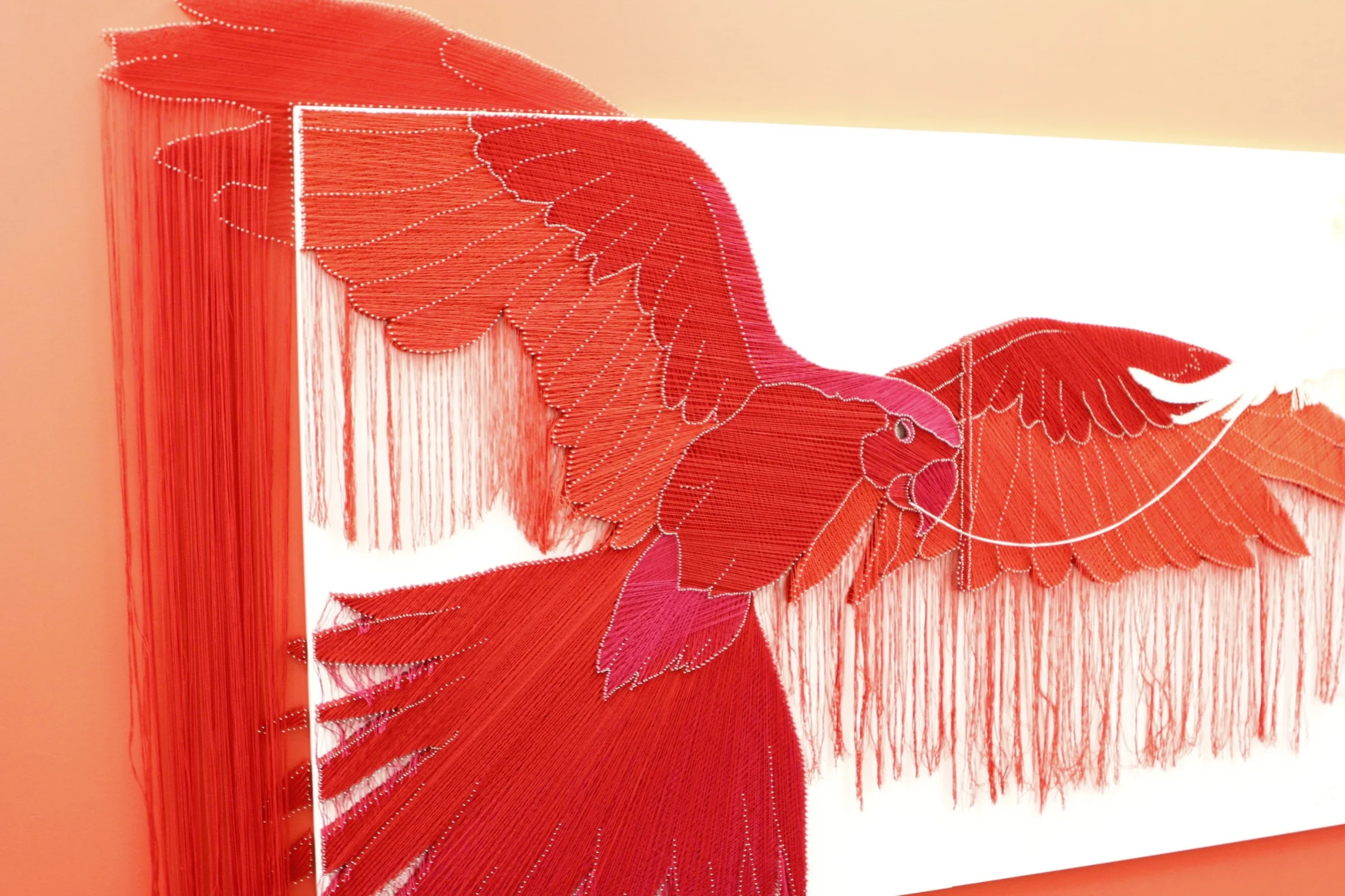 Another Freedom PW, 2015