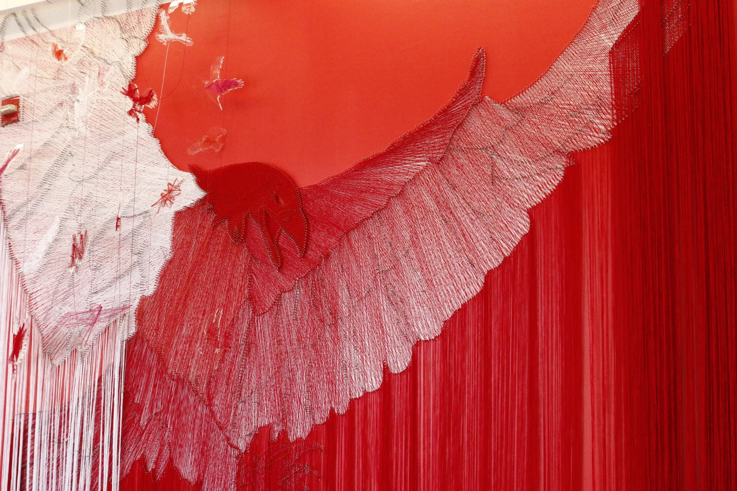 Another Freedom RW, 2015