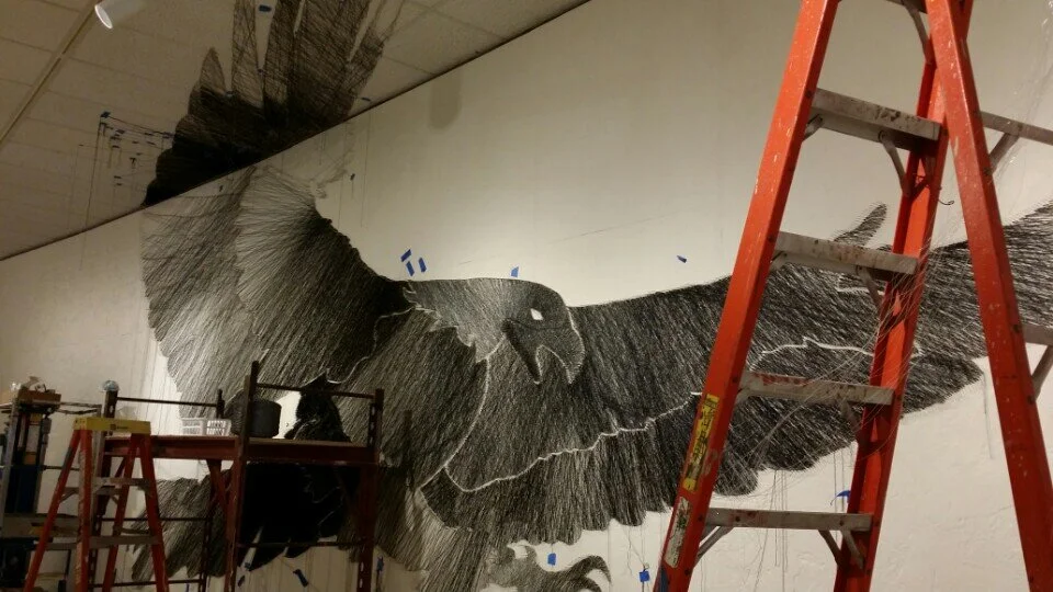 Game of artifice, 2015, Texas IMAS