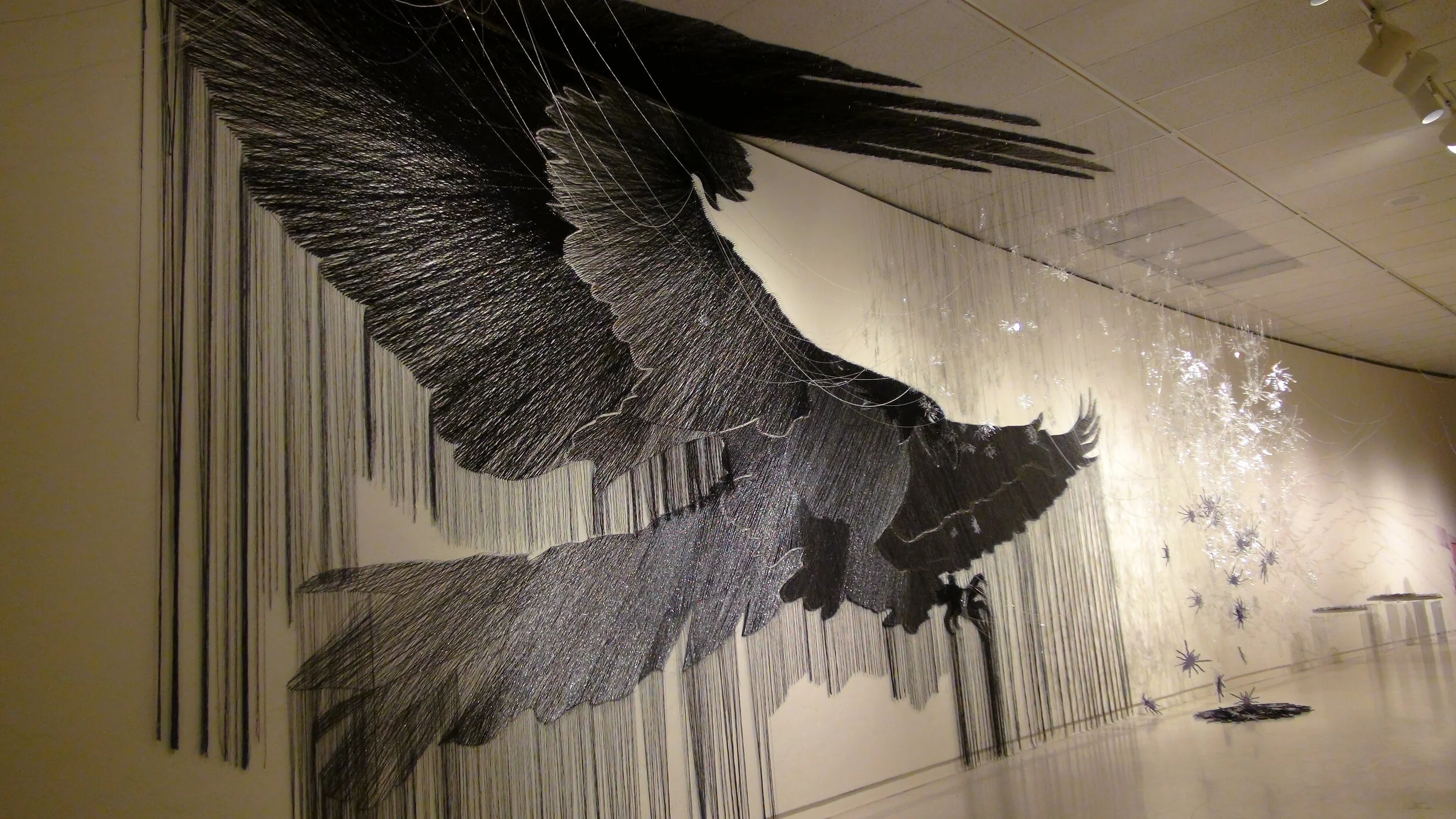 Game of artifice, 2015, Texas IMAS