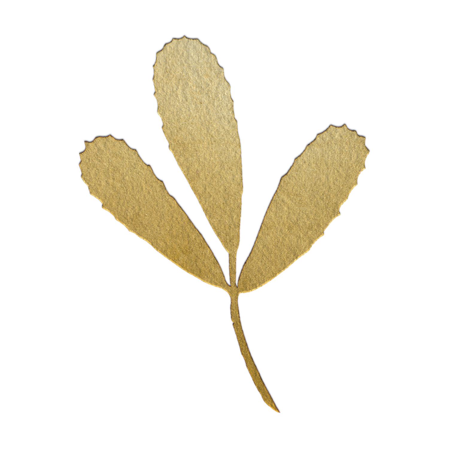 Fenugreek.png