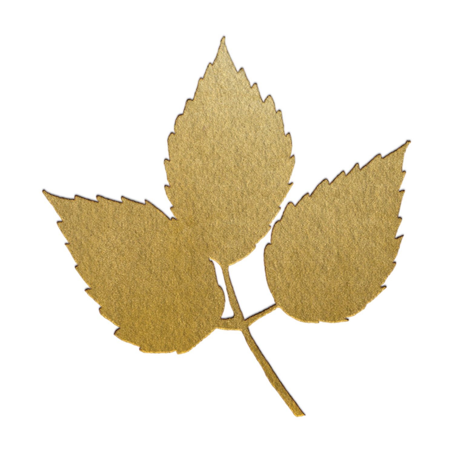 RaspberryLeaf.png