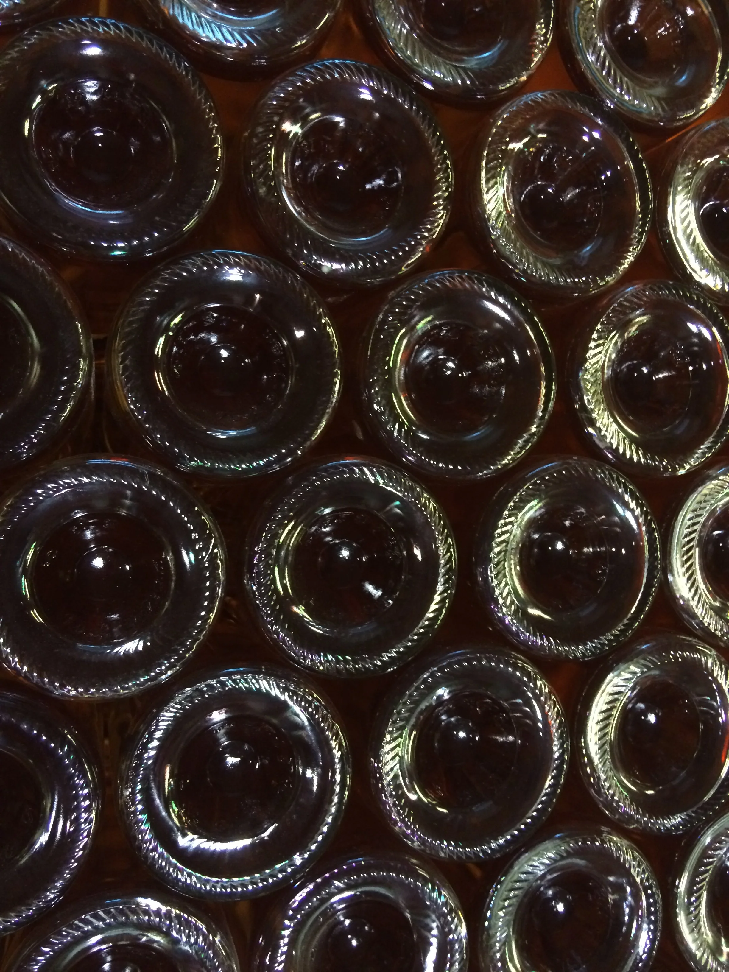 Dave OBrien - IMG_6372.JPG