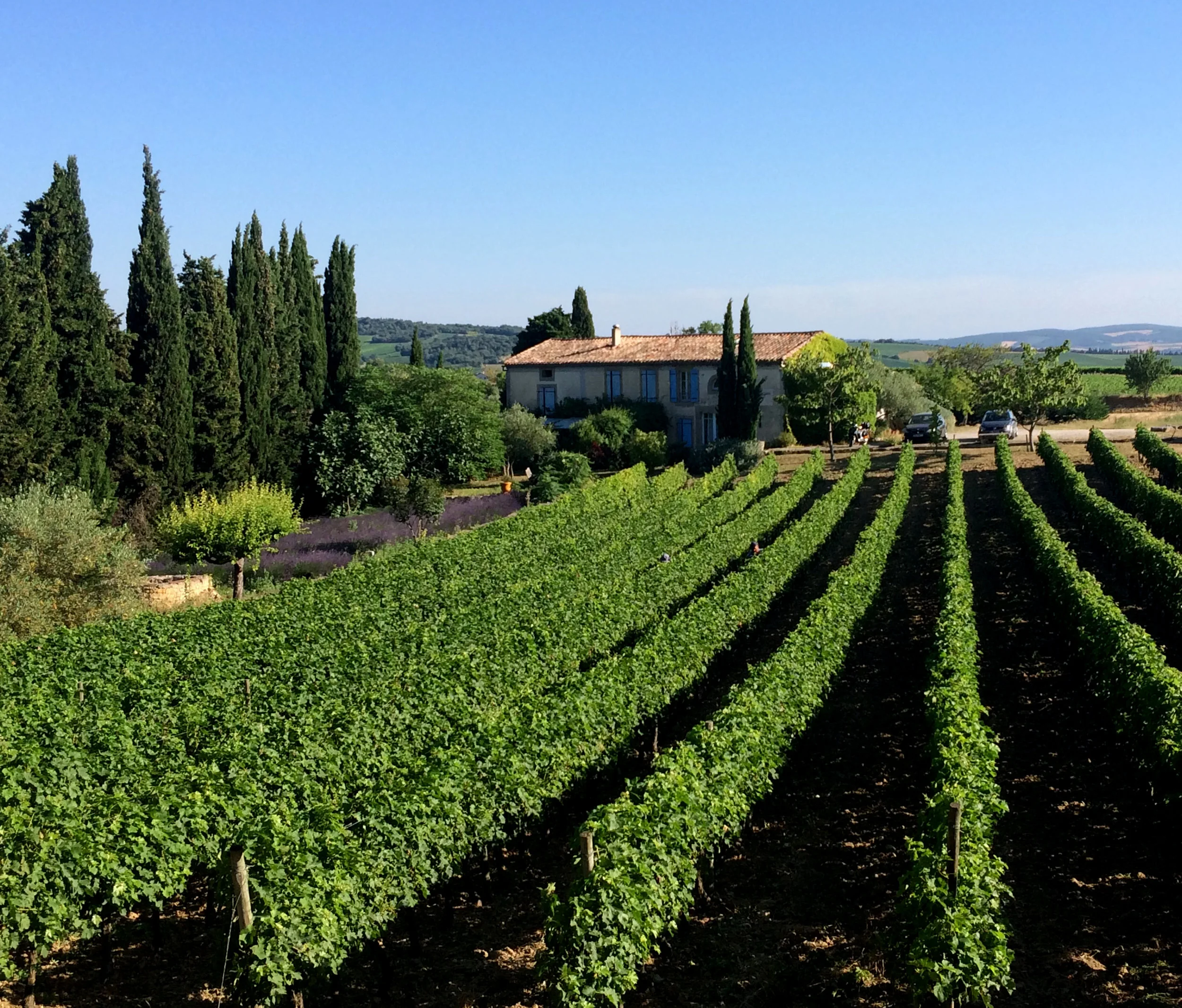 Dave OBrien - IMG_7577.JPG