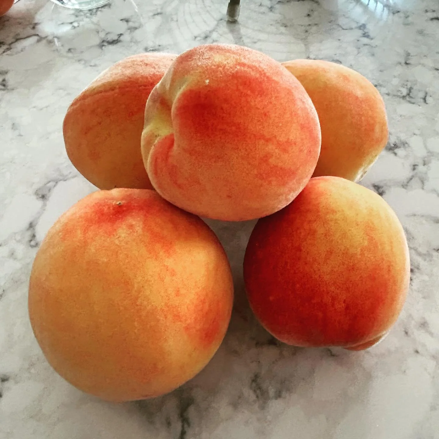 Thank you to all our loyal pickers - such a fantastic peach season for Scooter&rsquo;s Farm. Closing up shop for 2025 - we are hopeful for a successful 2026 with our USDA certified peaches AND apples!
