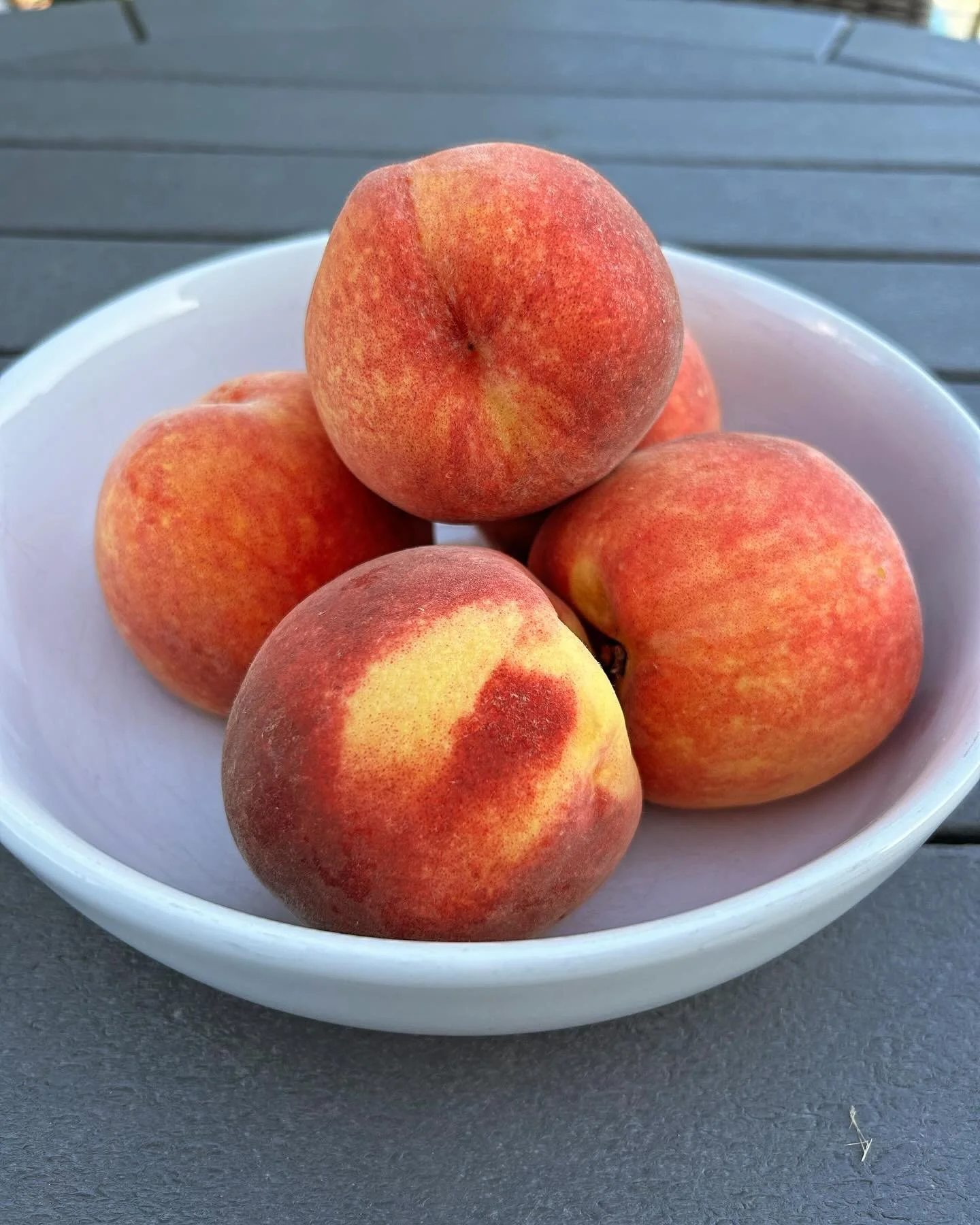 Keep summer alive!  Ripe, delicious peaches in the trees. PYO organic peaches at Scooter&rsquo;s Farm. $25/bag (~$3.50/lb). Time crunch? Responsible for dessert for tonight&rsquo;s dinner party? We picked for you.  Pre-picked bags available at the fa