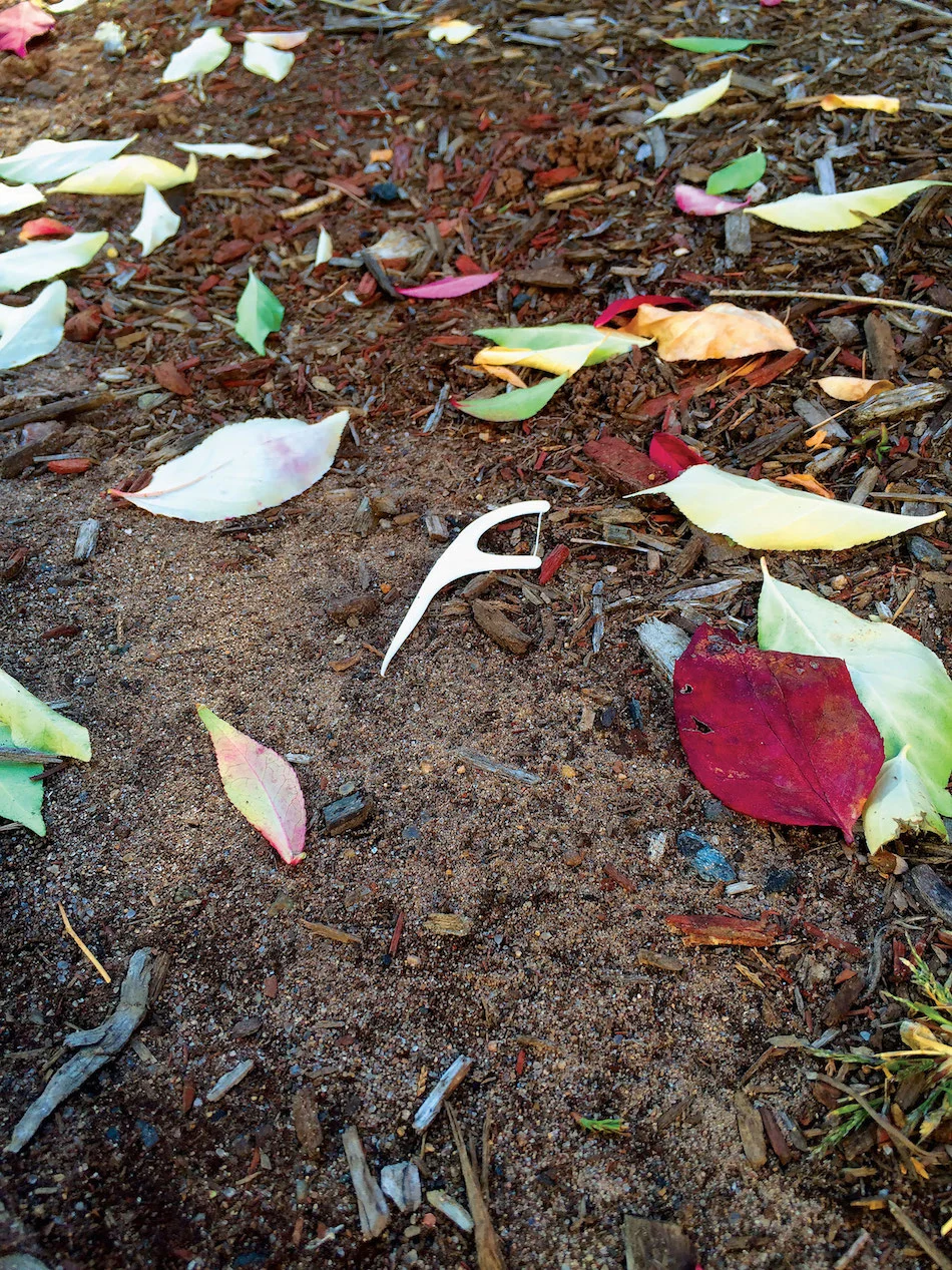015-1115-FallFlossing.jpg