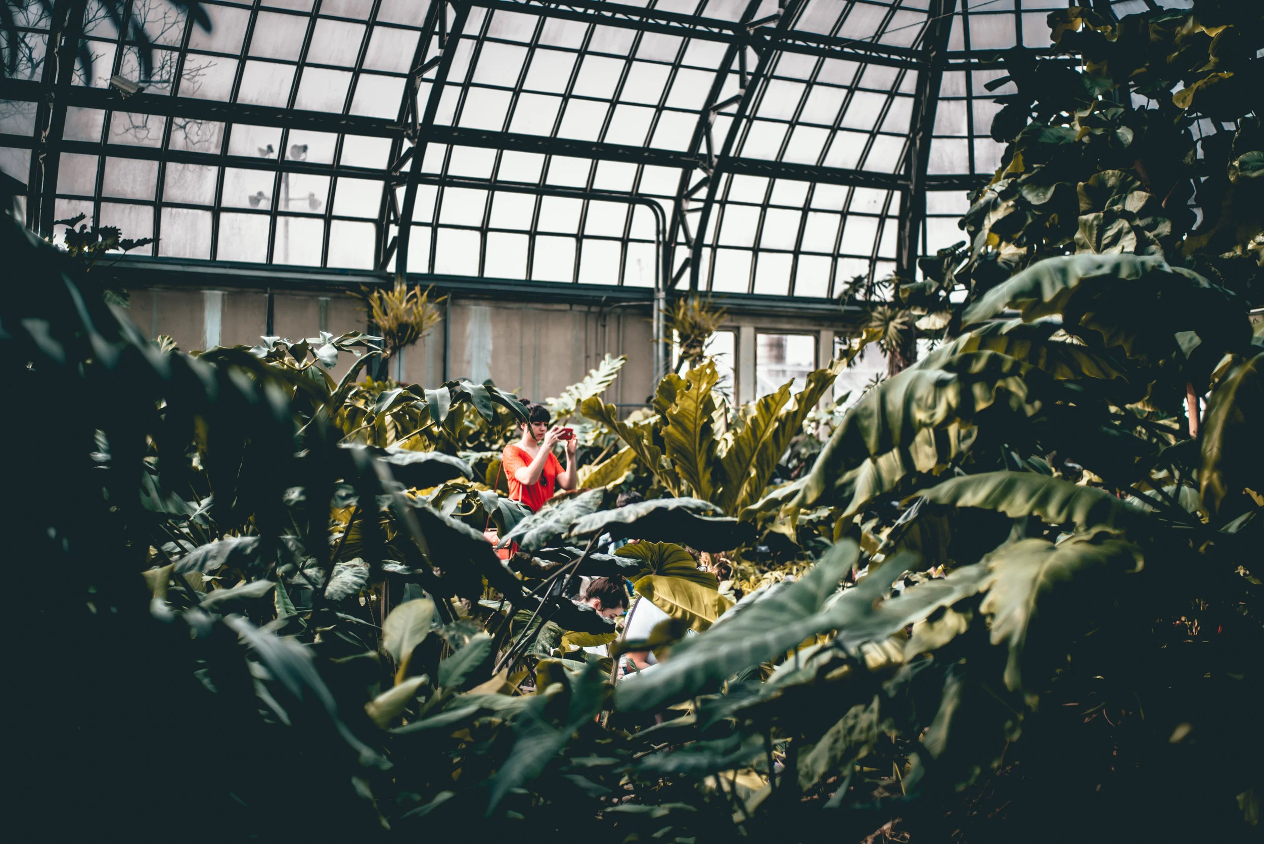_DSC8270.jpg