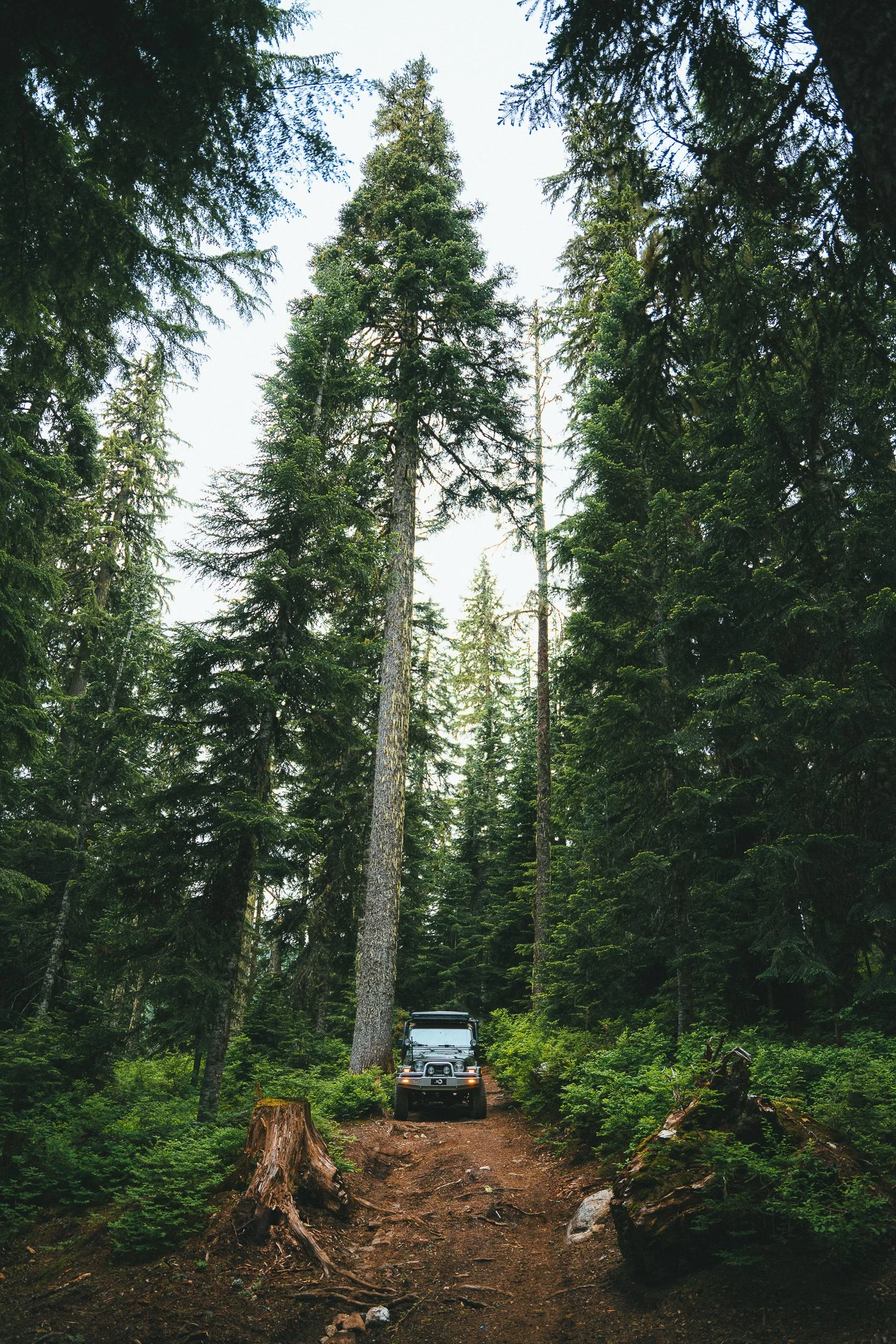 SquareSpace 2025 Photo Refresh-15.jpg