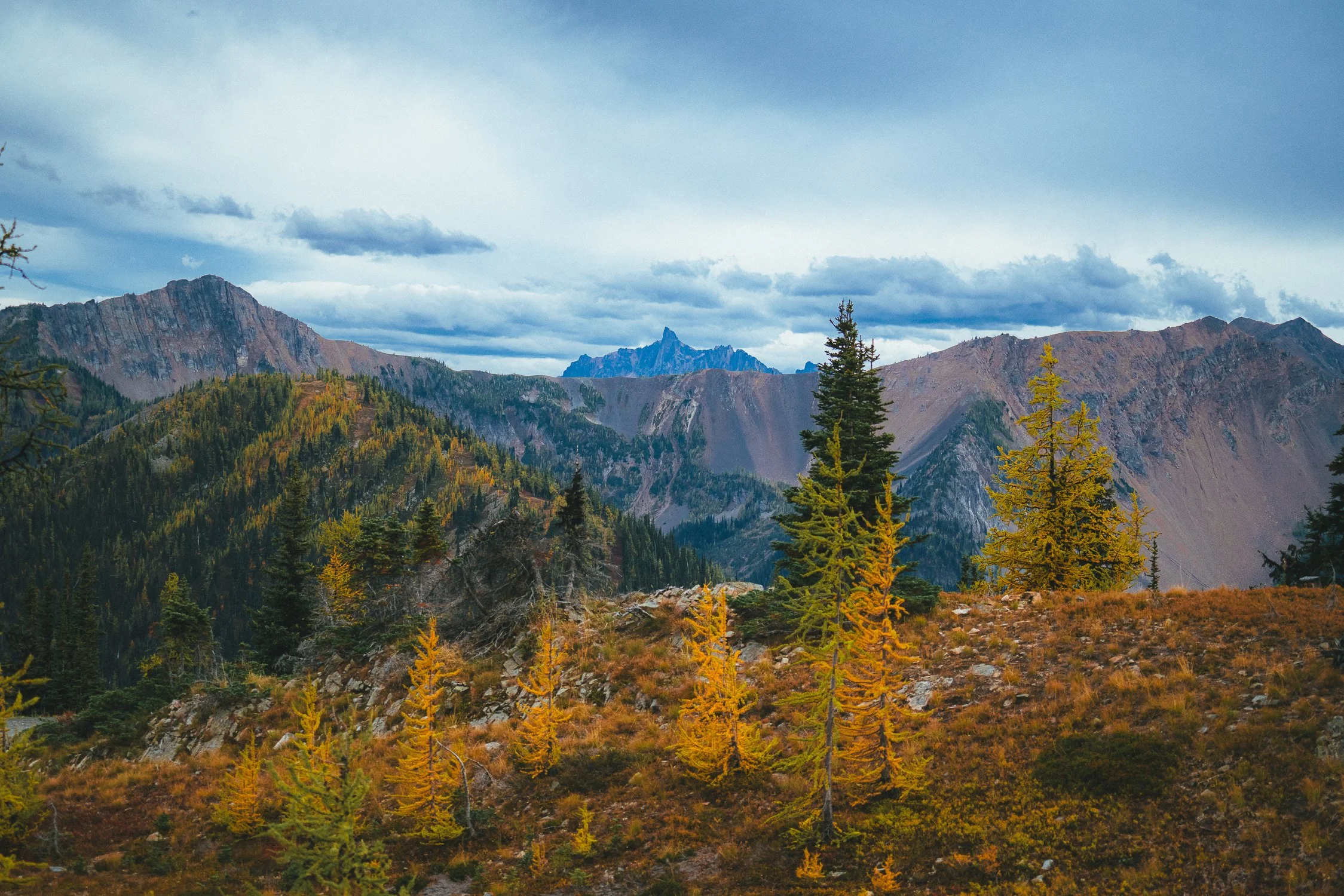 SquareSpace 2025 Photo Refresh-29.jpg