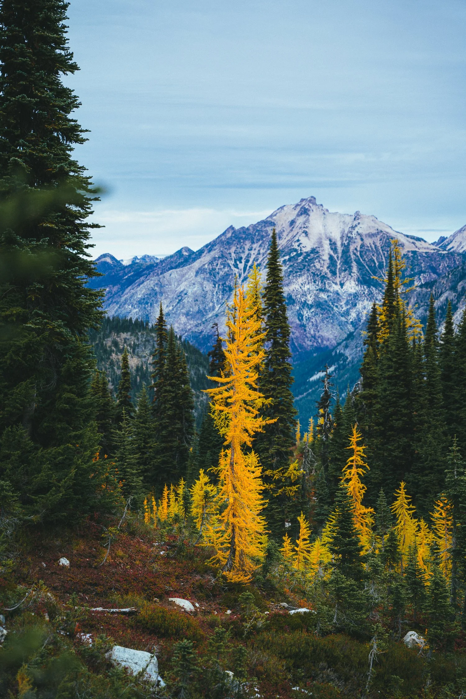 SquareSpace 2025 Photo Refresh-38.jpg