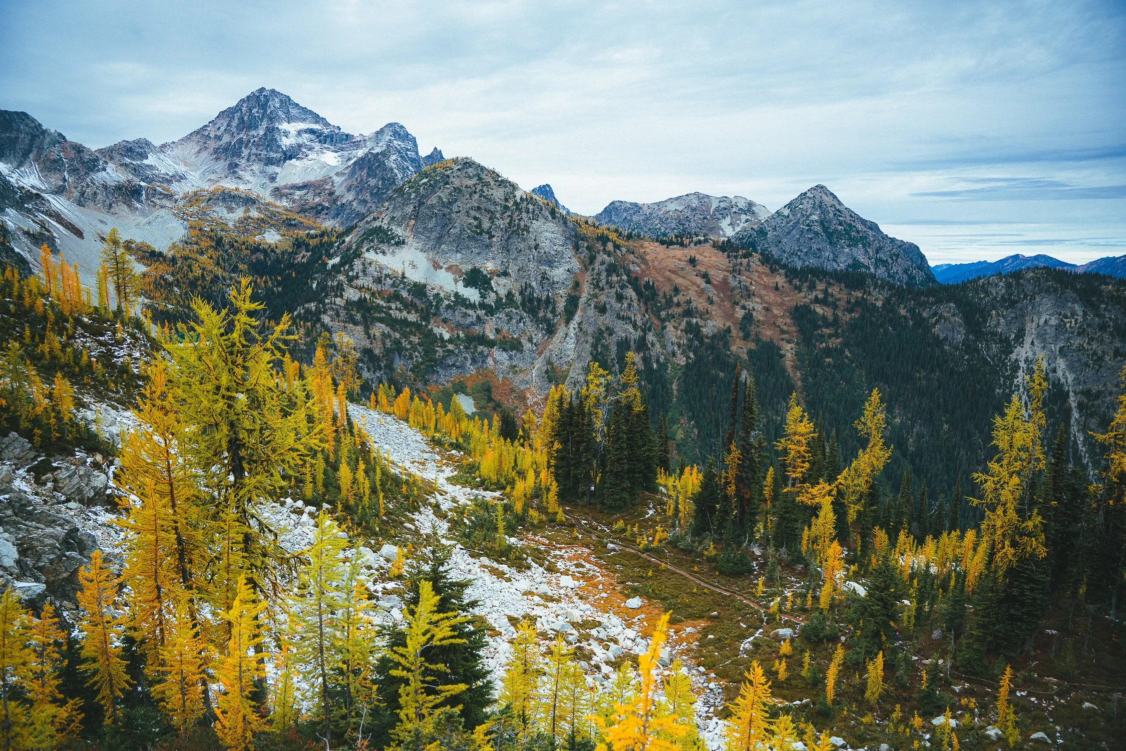 SquareSpace 2025 Photo Refresh-39.jpg
