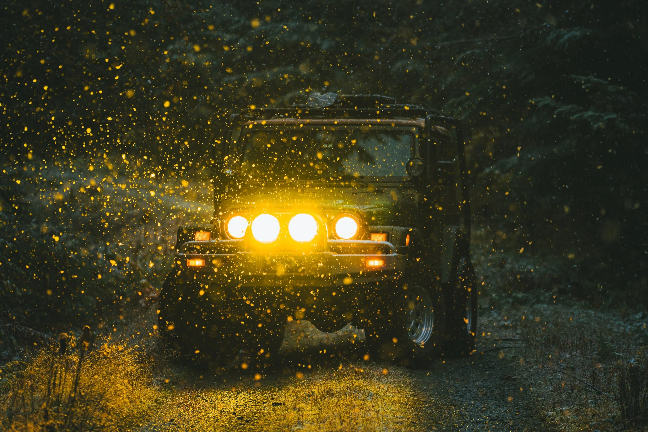 SquareSpace 2025 Photo Refresh-51.jpg