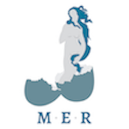 MER-Vert-512x512-01.png