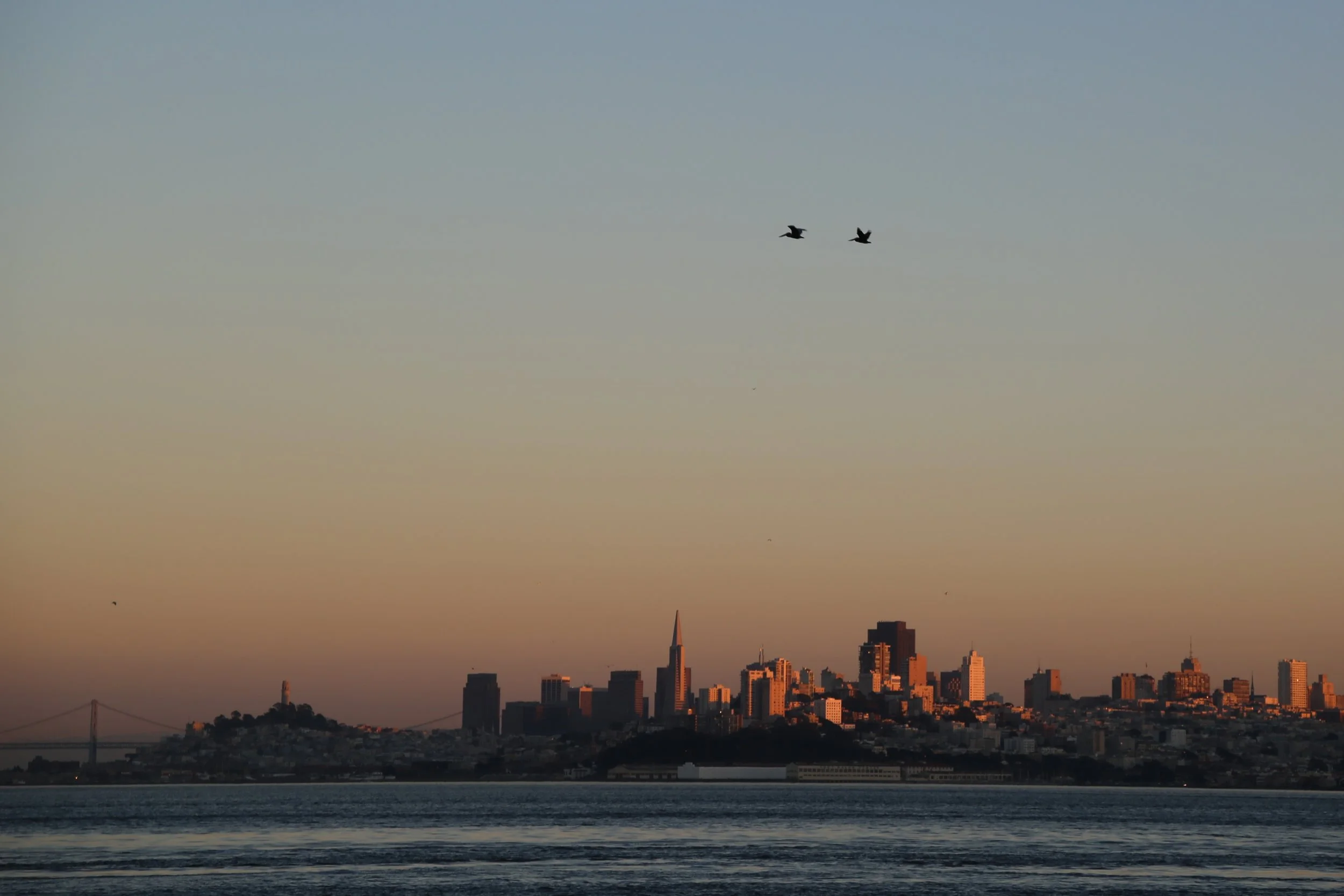 VQ1A0736 - Version 2.JPG