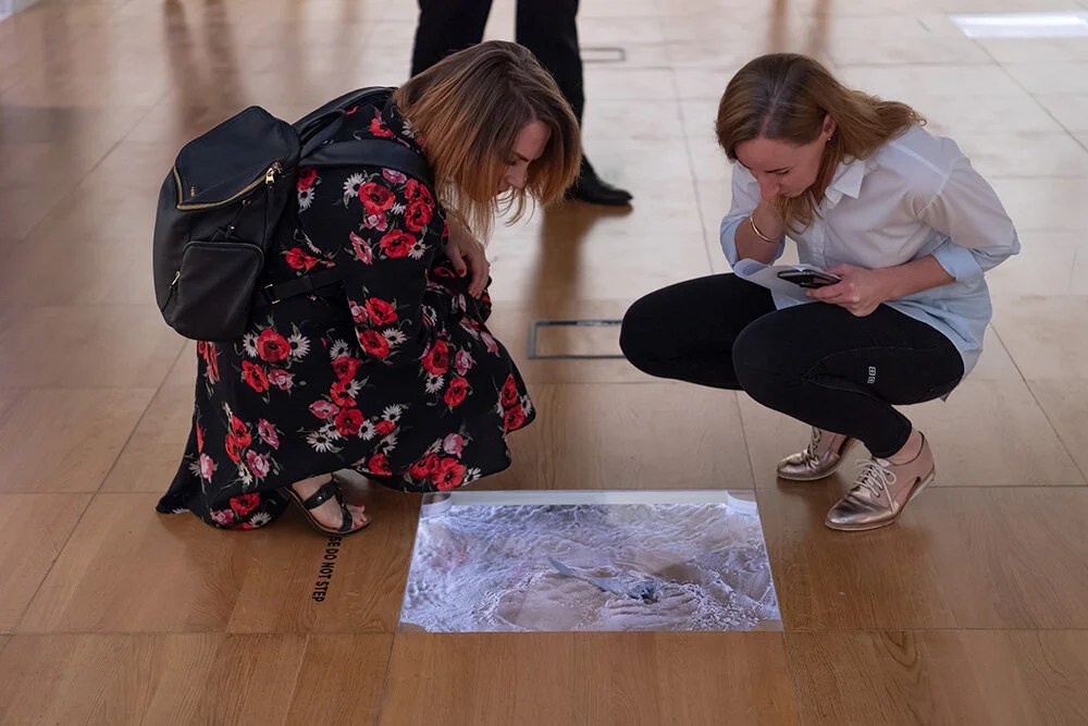 Vestige installation small.jpg