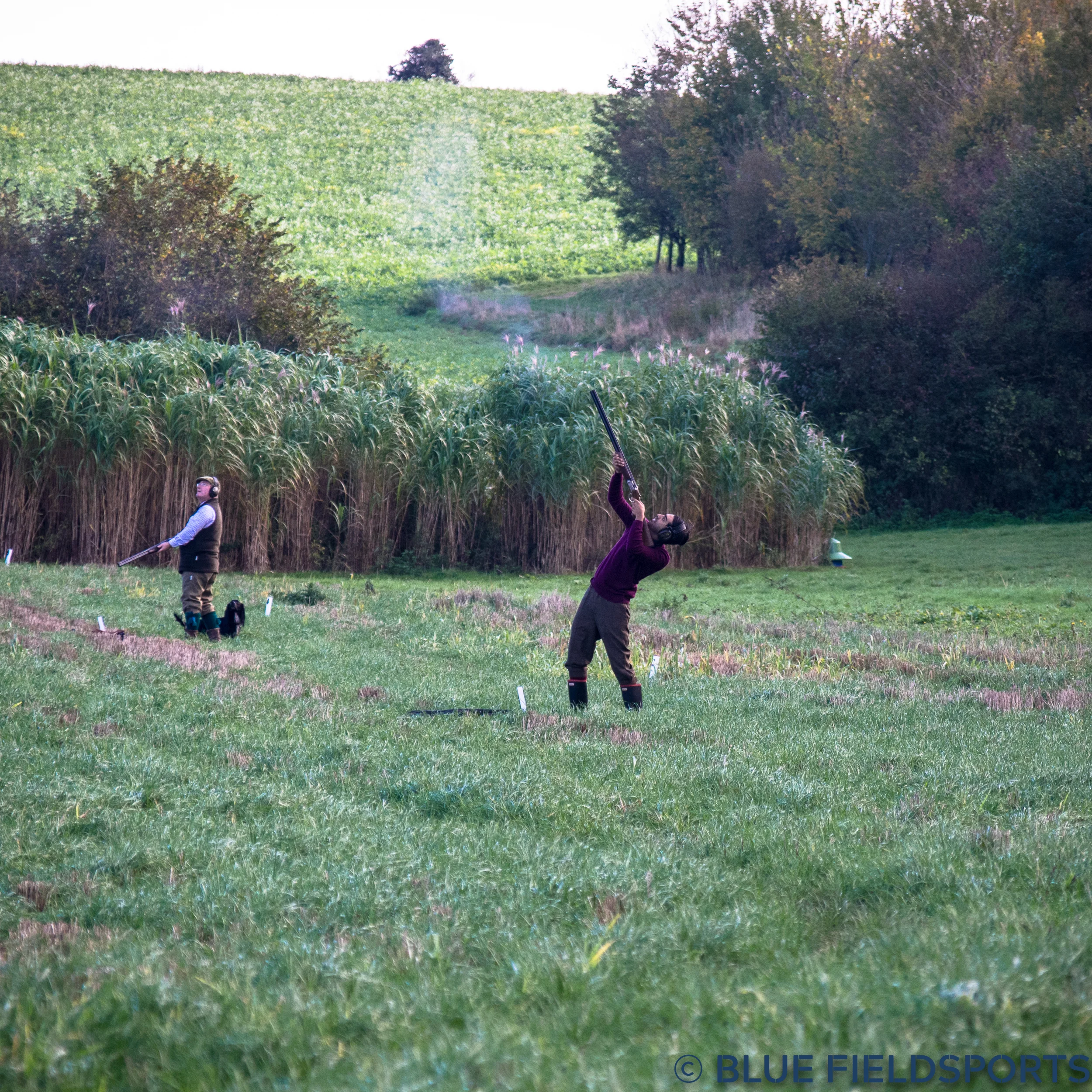 20171025-DSC_1599.jpg
