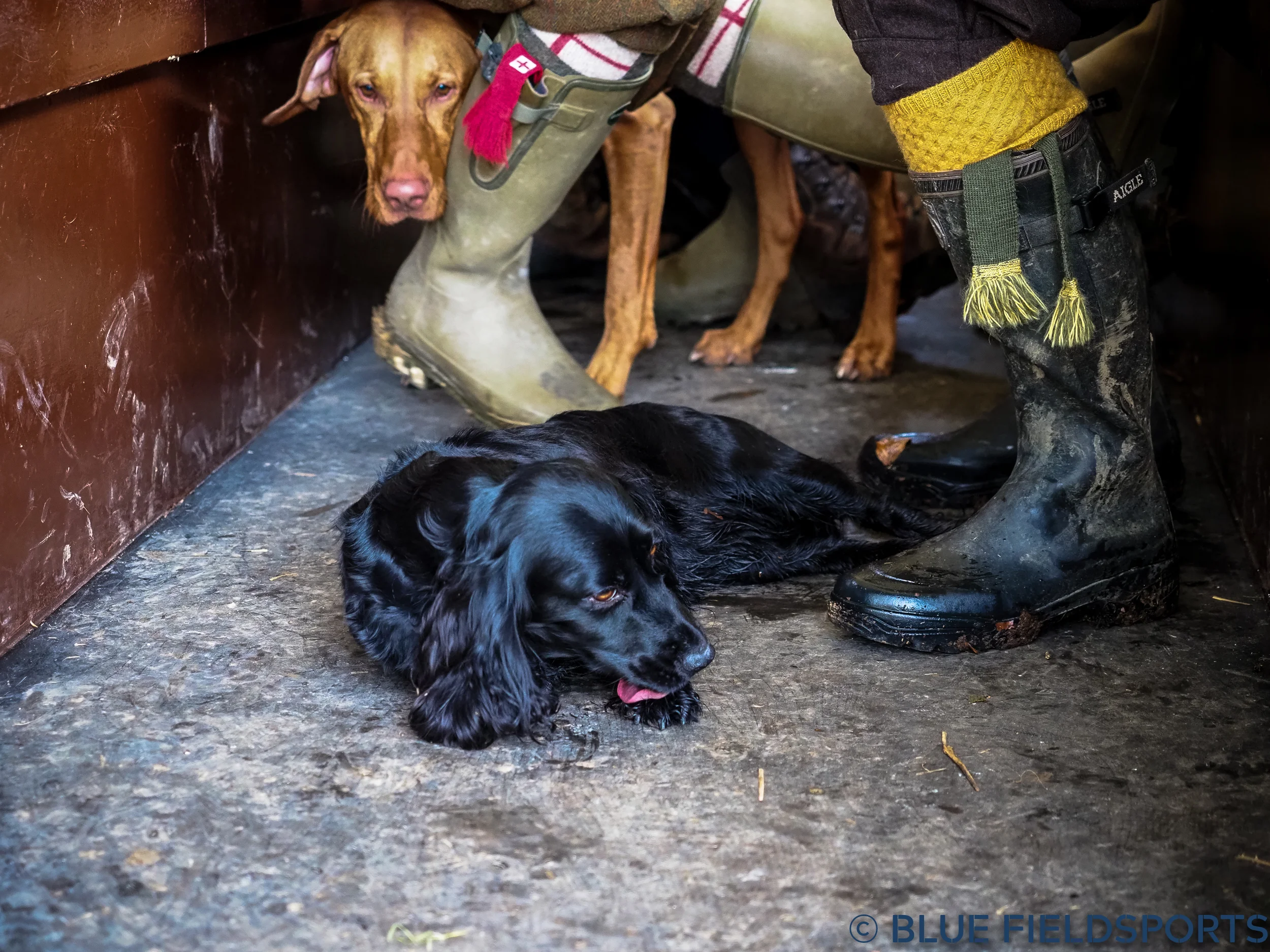 201712092017.12.09 St. Clair's-56.jpg