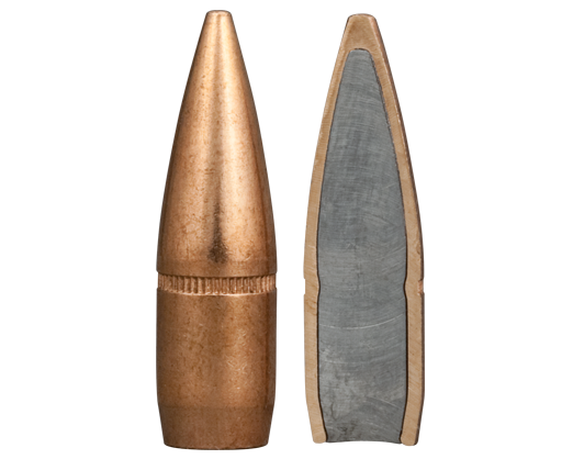 223 America Eagle Bullet.png
