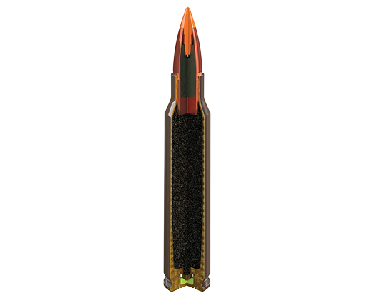243 70gr V Shok Nosler Inside.png