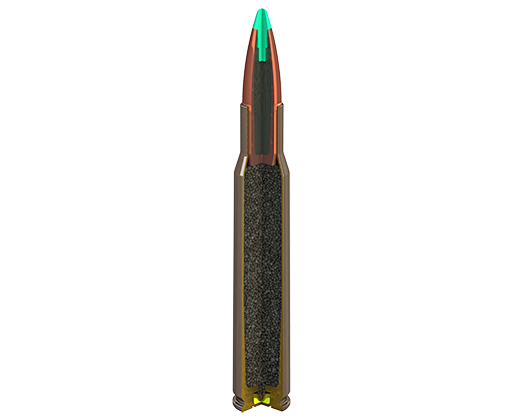 25-06 100gr Nosler Inside.png