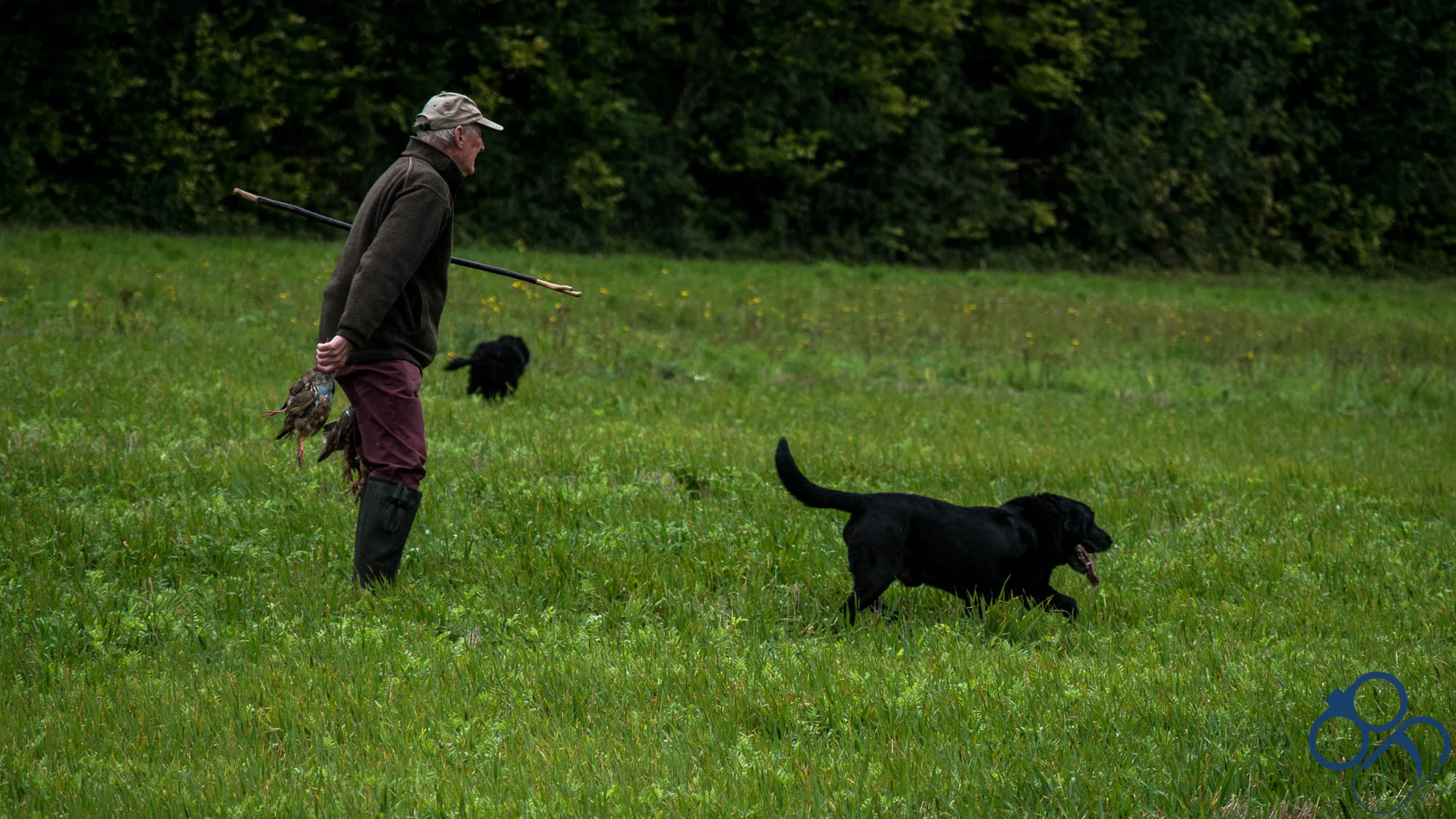 20180922 - Blue Fieldsports-25.jpg