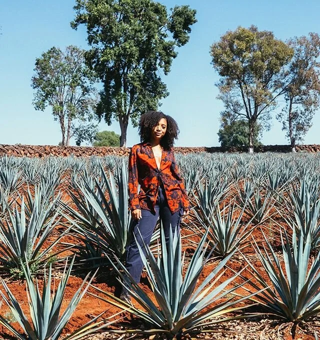 Today isn&rsquo;t really #NationalMargaritaDay without a @patron Margarita. Did you know the agave plant is where your Tequila comes from?! 💚 #passthepatron #patronpartner #21+ #drinkresponsibly 📸: @tjdocena 
Top: @prettylittlething