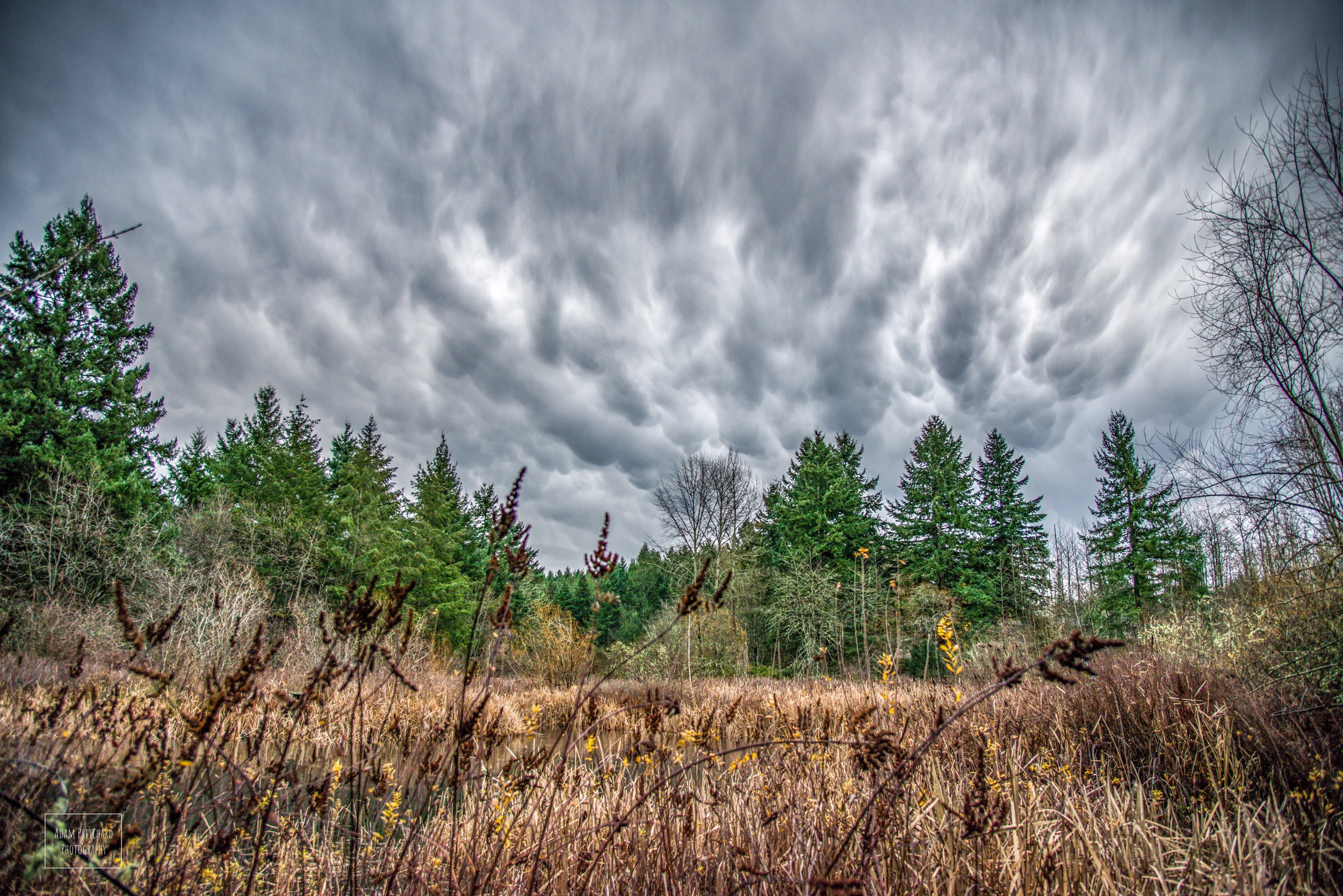 Mammatus clouds over the pond at Adriana Hess Wetland Park. Photo Credit: Adam Pritchard