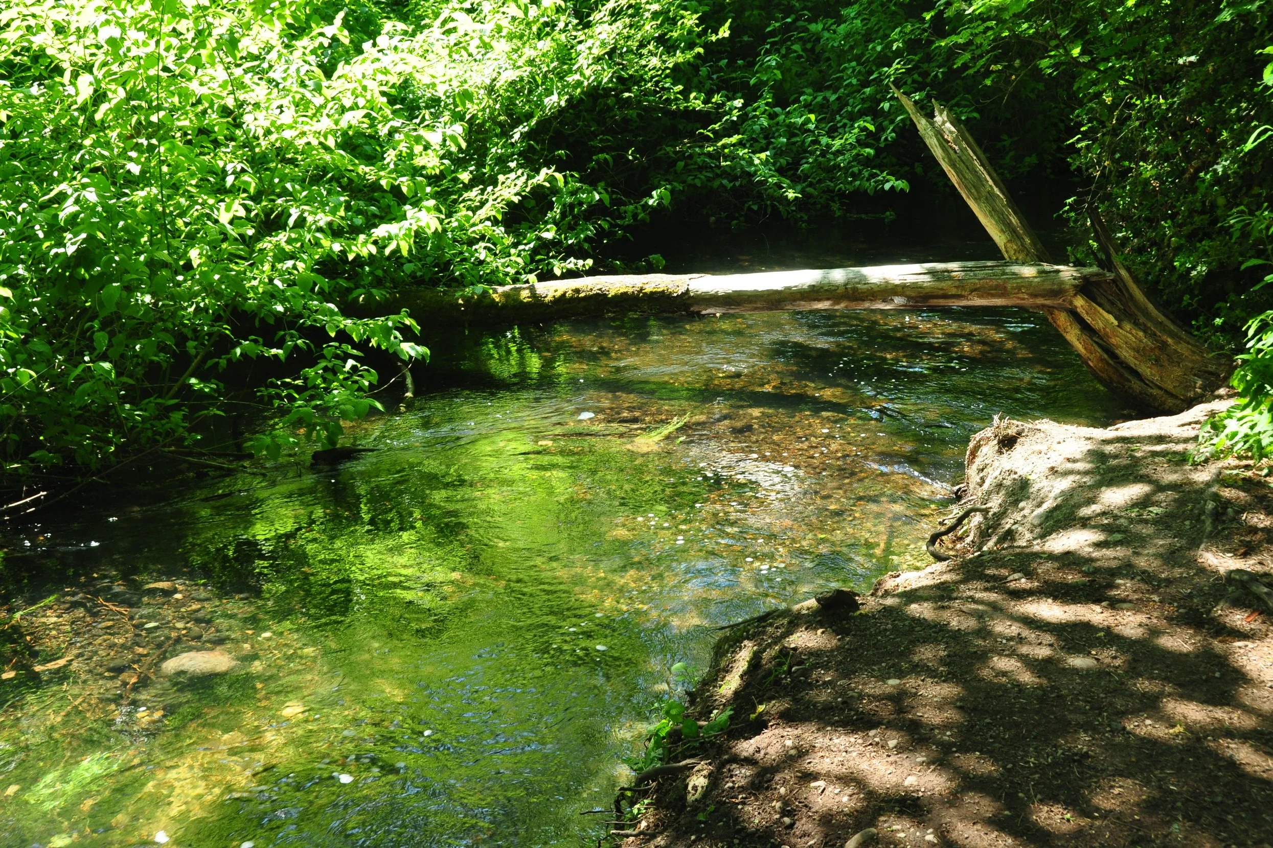 water+clr+%26+2.jpg