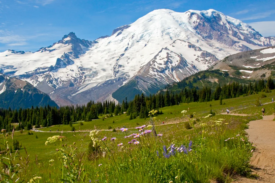 Mount Rainier2.jpg
