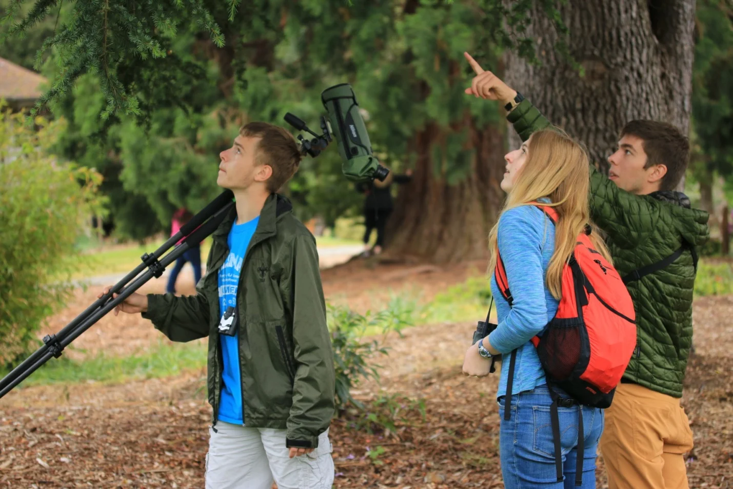 Tahoma Audubon is a small but powerful organization. Our history is full of positive examples of protecting birds, preserving our land resources and maintaining our quality of life. Our operations are supported by grants, classes, fee for service and of course the generosity of donors like yourself. Please consider a Contribution to TAS