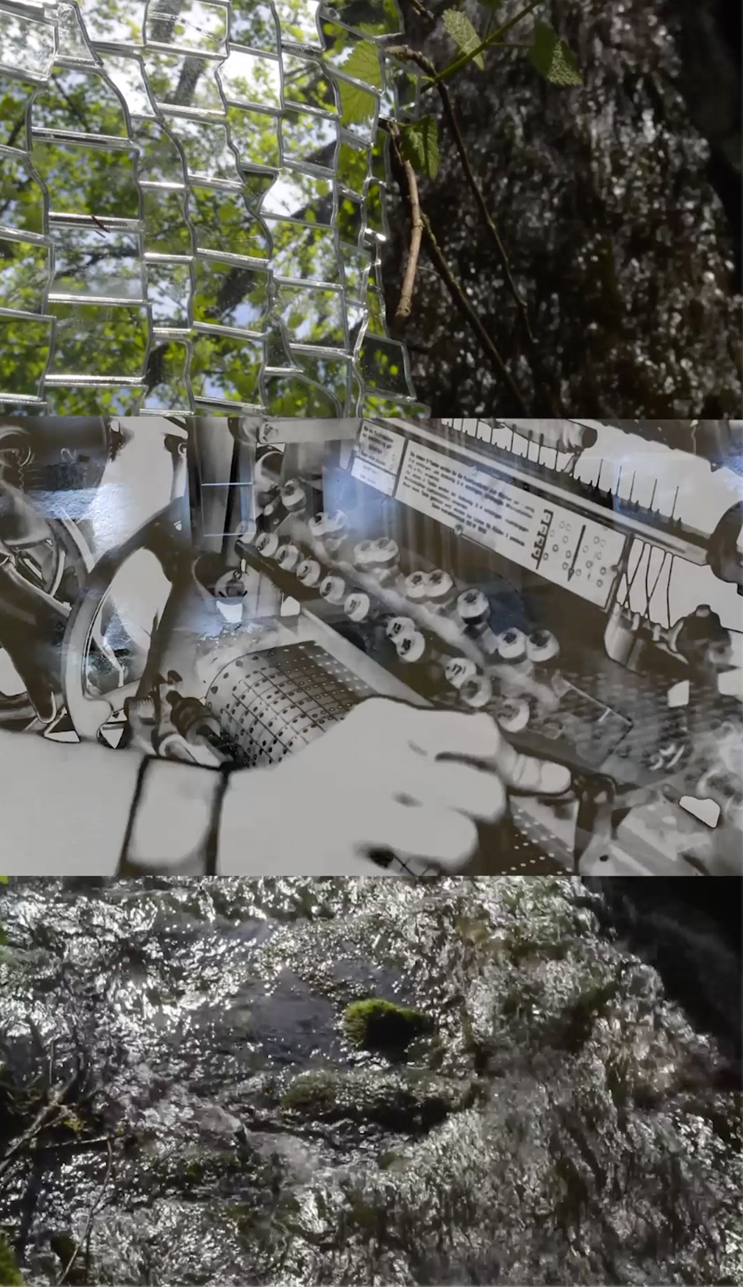 9 SchindelnVideo.jpg