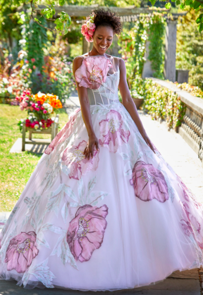 3D Floral Quinceanera Dress by House of Wu 26024 | Tulle ball gown,  Quinceanera dresses, Ball gown skirt
