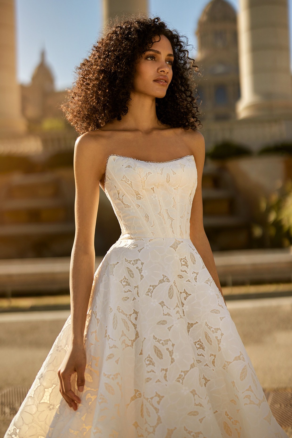 Tulle Ballgown Wedding Dress Featuring a Dreamy Alençon and Chantilly Lace  Bodice