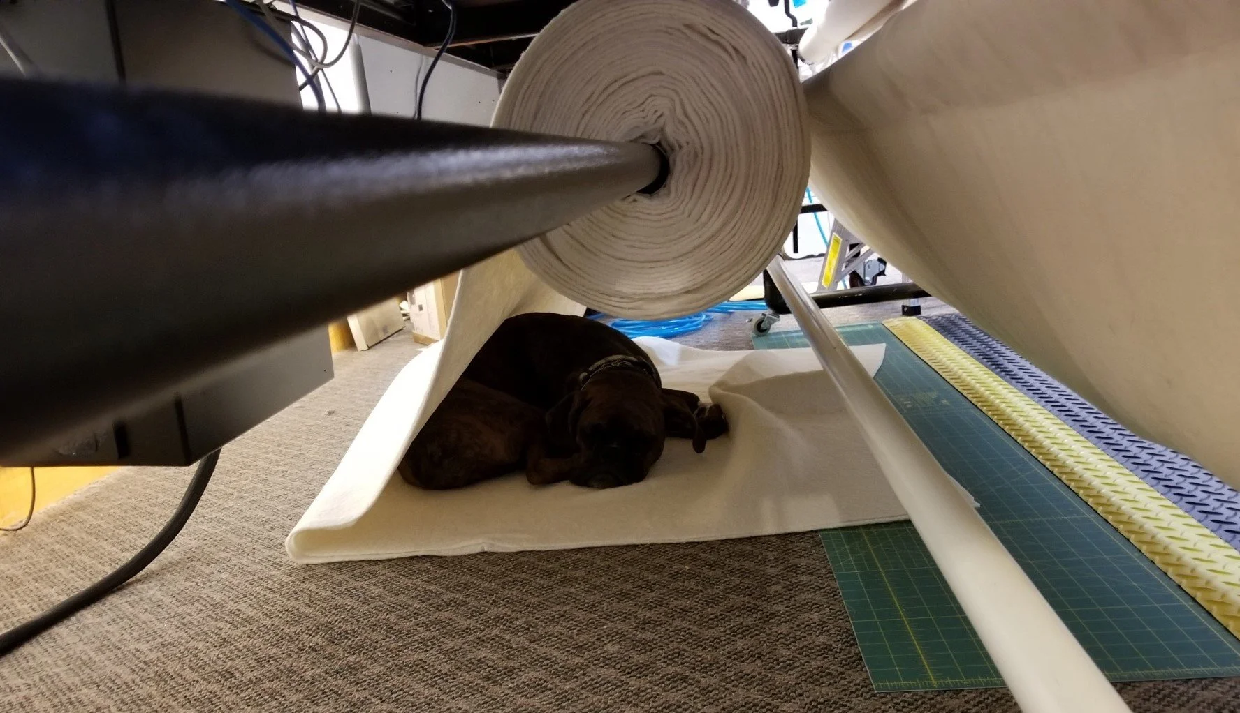 Quilting Bea
