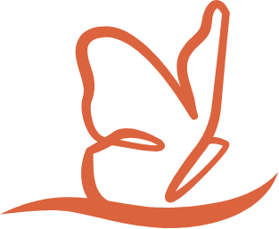 A simple line drawing of a butterfly perched on a surface.