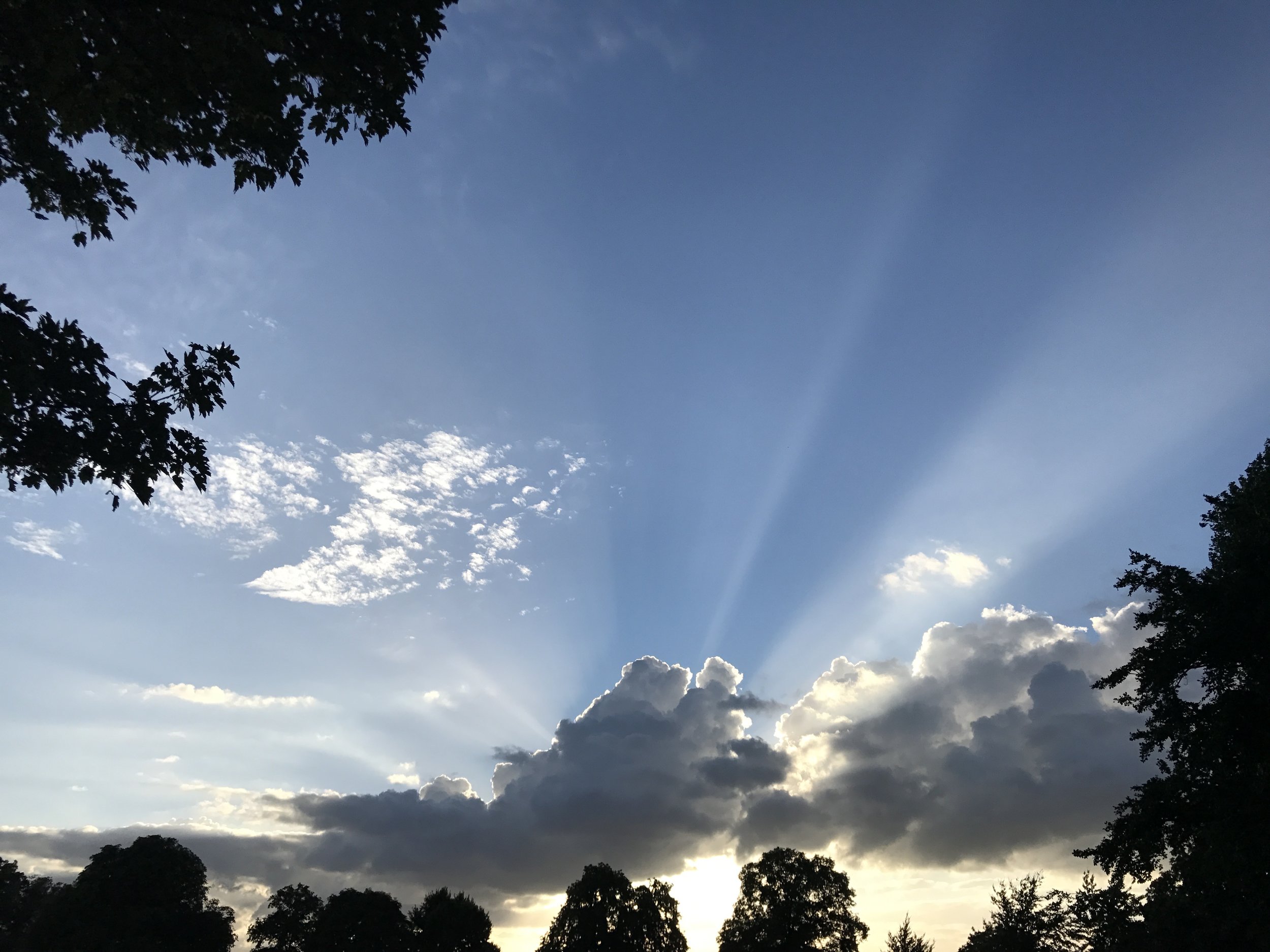Sky above Walpole and Lamas Park