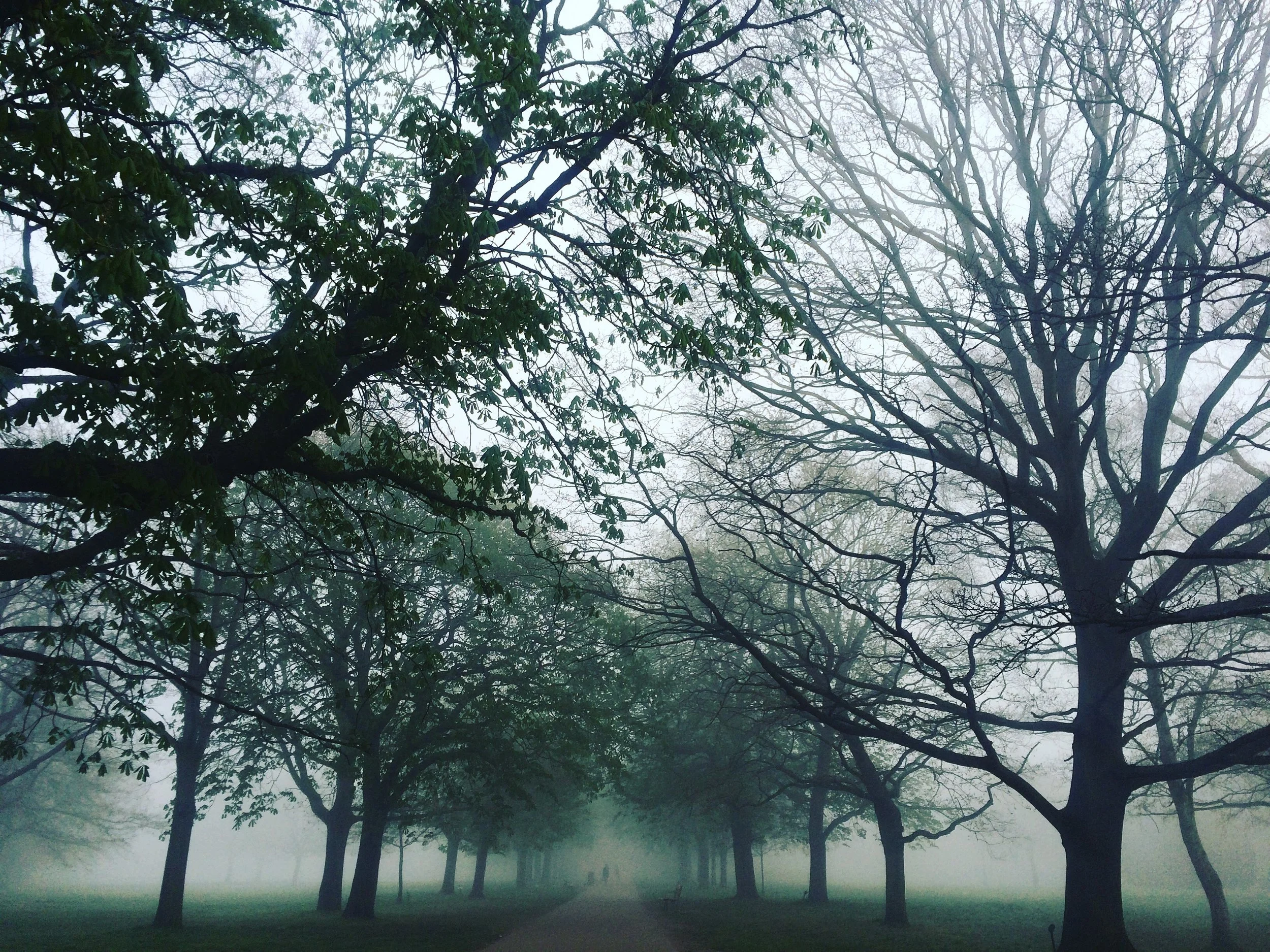 Walpole Park.jpg