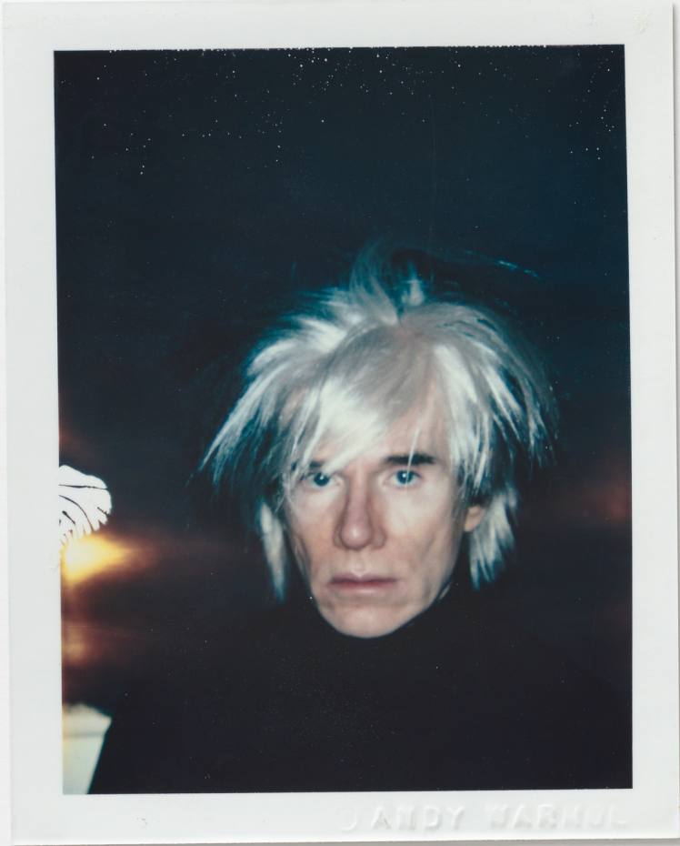 https___s3-eu-west-1.amazonaws.com_htsi-ez-prod_ez_images_0_8_7_8_1668780-1-eng-GB_01-Andy-Warhol-Self-Portrait-in-Fright-Wig.jpg